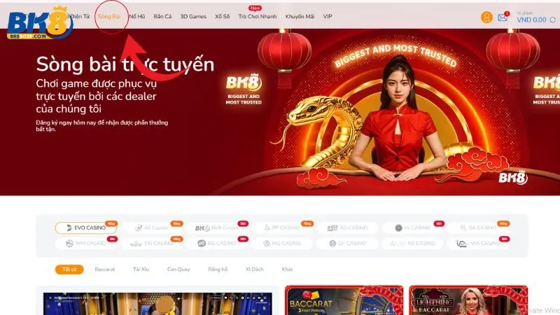 Giới thiệu Casino BK8